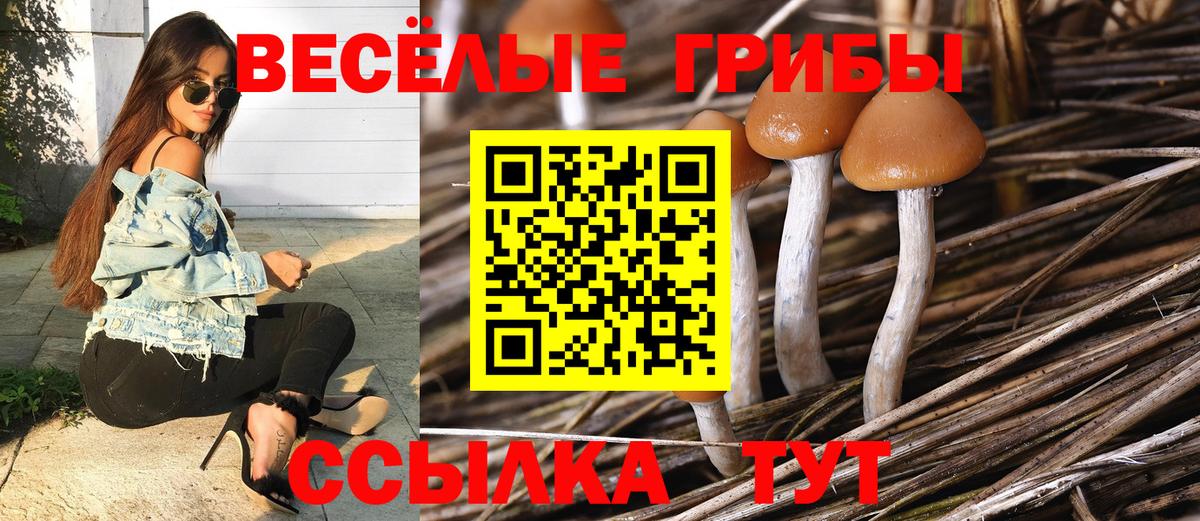 Ишимбай  Галлюциногенные грибы Cubensis  Галлюциногенные грибы GOLDEN TEACHER  Вход с VPN 