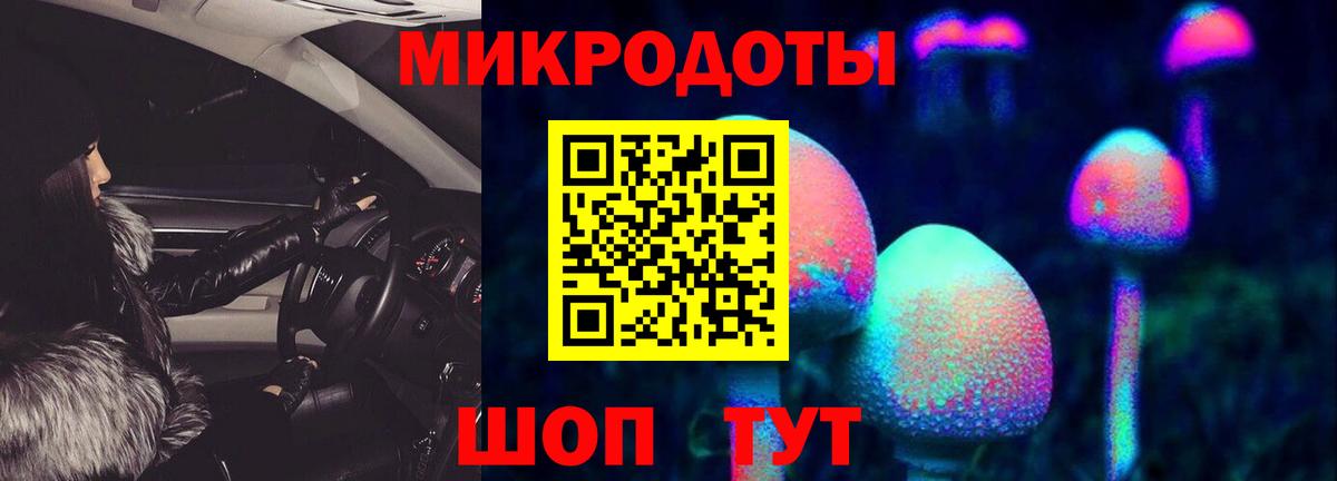 Псилоцибиновые грибы Cubensis Ишимбай